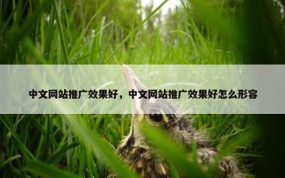 中文网站推广效果好，中文网站推广效果好怎么形容