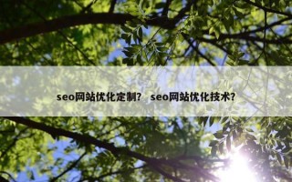 seo网站优化定制？ seo网站优化技术？