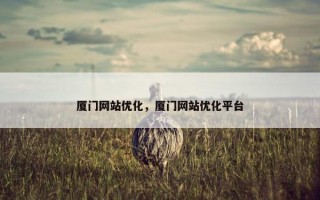 厦门网站优化，厦门网站优化平台