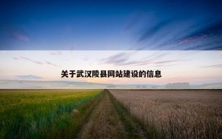 关于武汉陵县网站建设的信息