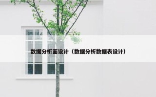 数据分析面设计（数据分析数据表设计）