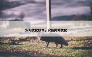 安阳优化技术，安阳网站优化