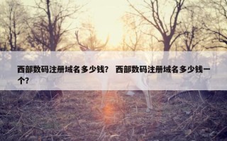西部数码注册域名多少钱？ 西部数码注册域名多少钱一个？