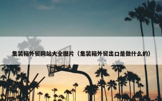 集装箱外贸网站大全图片（集装箱外贸出口是做什么的）