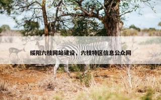 绥阳六枝网站建设，六枝特区信息公众网