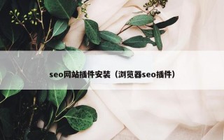 seo网站插件安装（浏览器seo插件）