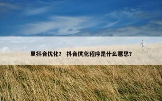 里抖音优化？ 抖音优化程序是什么意思？
