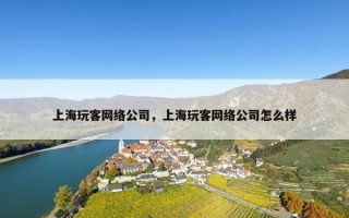 上海玩客网络公司，上海玩客网络公司怎么样