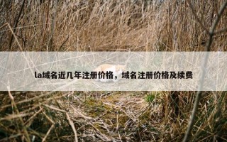 la域名近几年注册价格，域名注册价格及续费