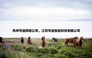 苏州可道网络公司，江苏可道智能科技有限公司