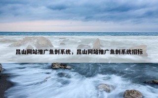 昆山网站推广鱼刺系统，昆山网站推广鱼刺系统招标