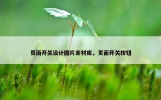 页面开关设计图片素材库，页面开关按钮