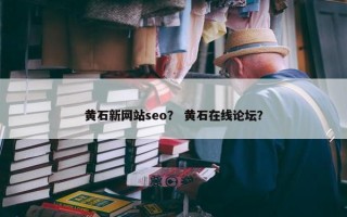 黄石新网站seo？ 黄石在线论坛？