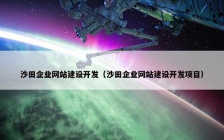 沙田企业网站建设开发（沙田企业网站建设开发项目）
