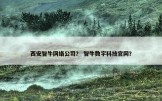 西安智牛网络公司？ 智牛数字科技官网？