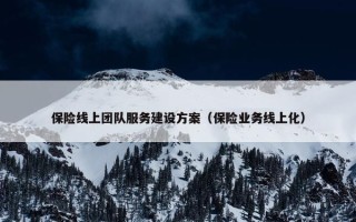 保险线上团队服务建设方案（保险业务线上化）