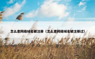 怎么查网络域名被注册（怎么查网络域名被注册过）
