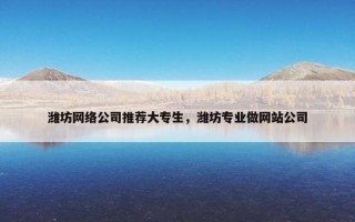 潍坊网络公司推荐大专生，潍坊专业做网站公司