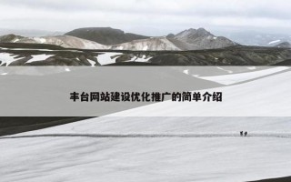 丰台网站建设优化推广的简单介绍
