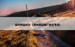 海外网站优化（海外网站推广优化专员）