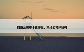 网络公司哪个更好做，网络公司挣钱吗