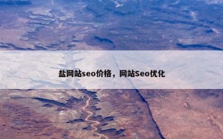 盐网站seo价格，网站Seo优化