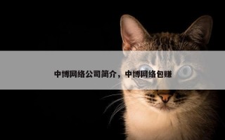 中博网络公司简介，中博网络包赚