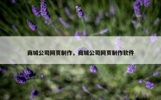 商城公司网页制作，商城公司网页制作软件