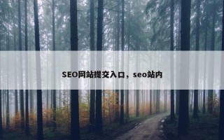SEO网站提交入口，seo站内