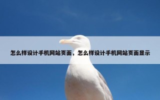 怎么样设计手机网站页面，怎么样设计手机网站页面显示