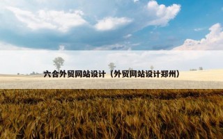 六合外贸网站设计（外贸网站设计郑州）