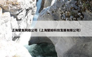 上海聚鱼网络公司（上海聚鲸科技发展有限公司）