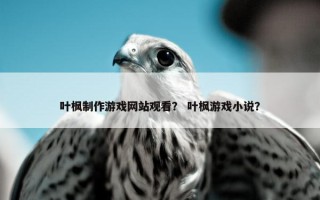 叶枫制作游戏网站观看？ 叶枫游戏小说？