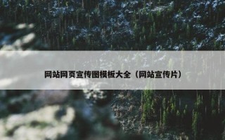网站网页宣传图模板大全（网站宣传片）
