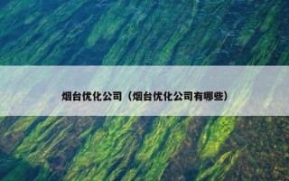 烟台优化公司（烟台优化公司有哪些）