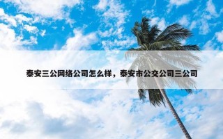 泰安三公网络公司怎么样，泰安市公交公司三公司