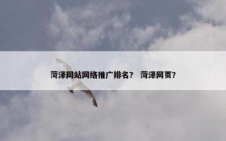 菏泽网站网络推广排名？ 菏泽网页？
