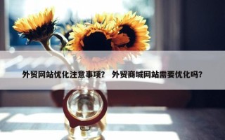外贸网站优化注意事项？ 外贸商城网站需要优化吗？