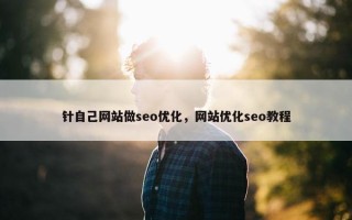 针自己网站做seo优化，网站优化seo教程
