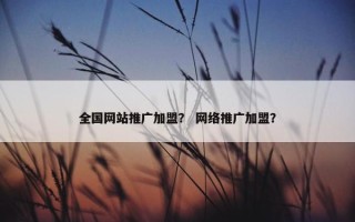 全国网站推广加盟？ 网络推广加盟？