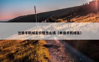 注册手机域名价格怎么填（申请手机域名）