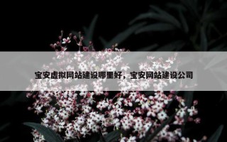 宝安虚拟网站建设哪里好，宝安网站建设公司