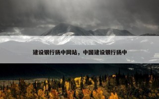 建设银行扬中网站，中国建设银行扬中