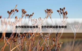 合作模板网站推荐，合作的网站都有哪些