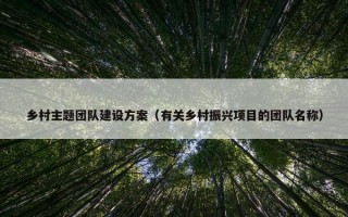 乡村主题团队建设方案（有关乡村振兴项目的团队名称）