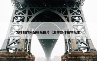 怎样制作网站模板图片（怎样制作植物标本）