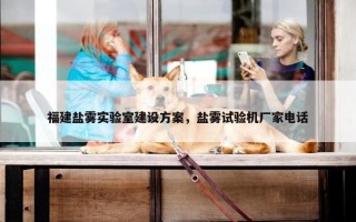 福建盐雾实验室建设方案，盐雾试验机厂家电话