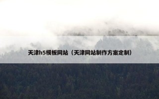 天津h5模板网站（天津网站制作方案定制）