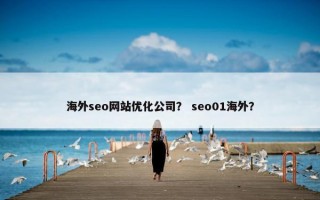 海外seo网站优化公司？ seo01海外？