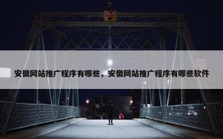 安徽网站推广程序有哪些，安徽网站推广程序有哪些软件